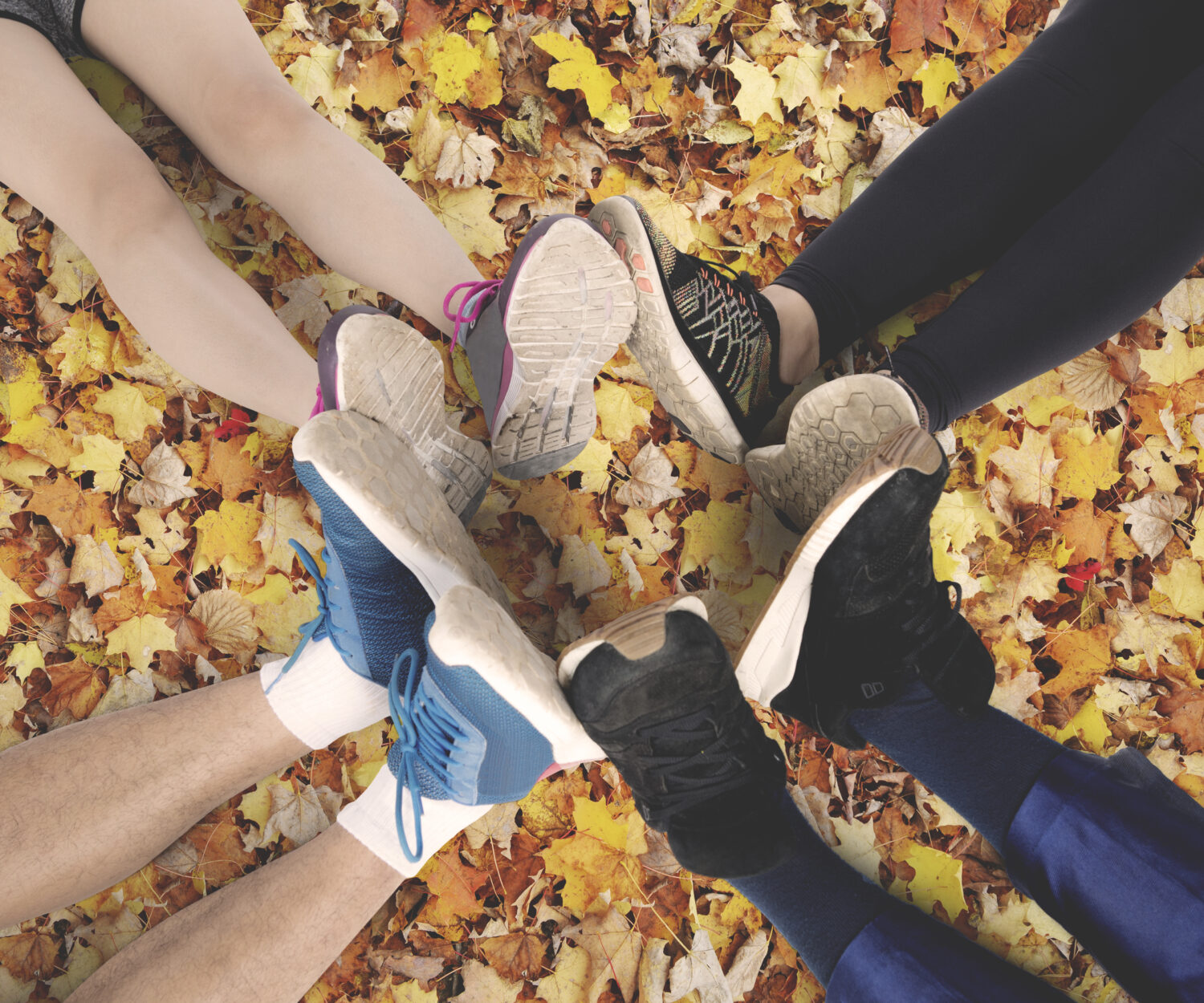 Sügisene teraapiakursus